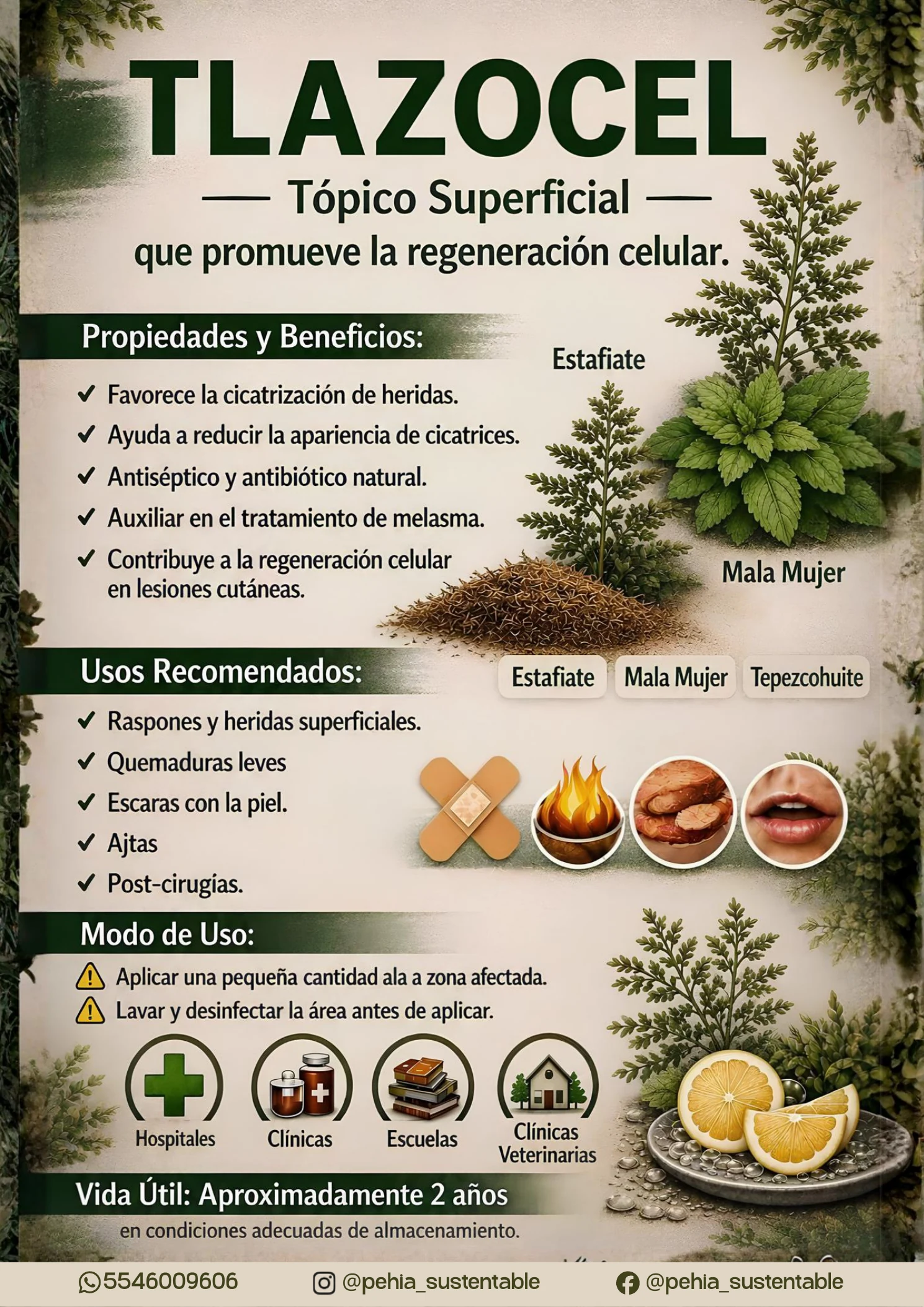 Ficha de Tlazocel, tópico superficial, con propiedades, beneficios, usos recomendados y modo de uso.